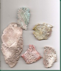 sea fossils ceramic