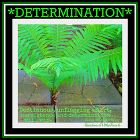 photo of: DETERMINATION: Fern Emerges -- quotation on determination and persistence