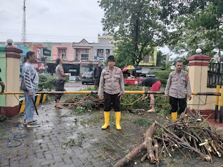 Kapolsek Bontomarannu Polres Gowa Bersama Personel dan Masyarakat Bersihkan Pohon Tumbang