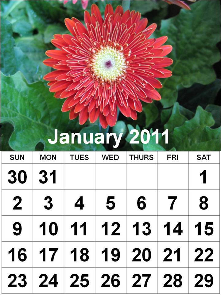 january 2011 calendar word