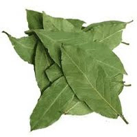 Daun Salam (Eugenia polyantha)