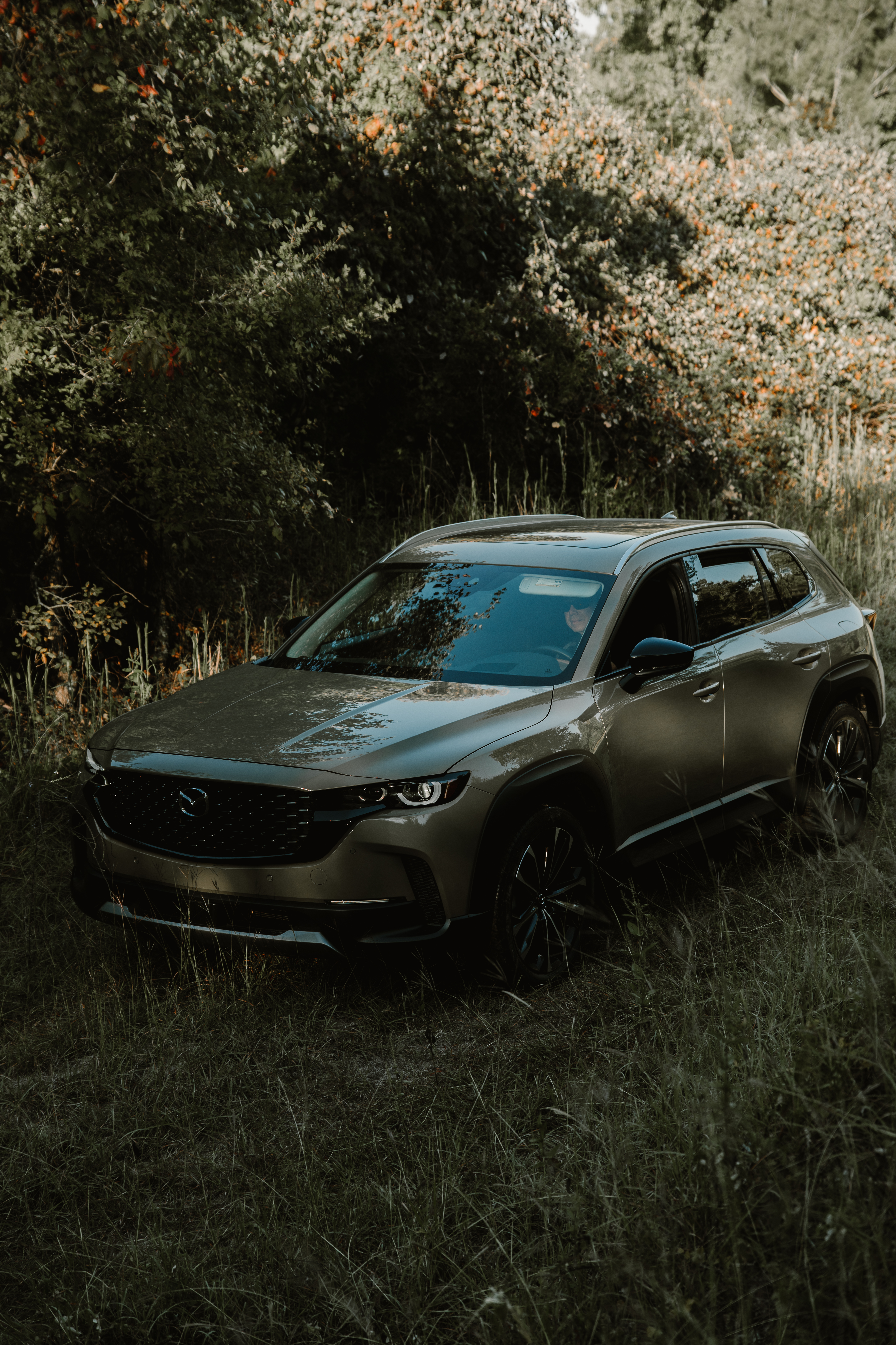 2023 Mazda CX-50 AWD Can Feel Alive in All-Terrain