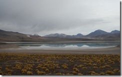 Laguna verde