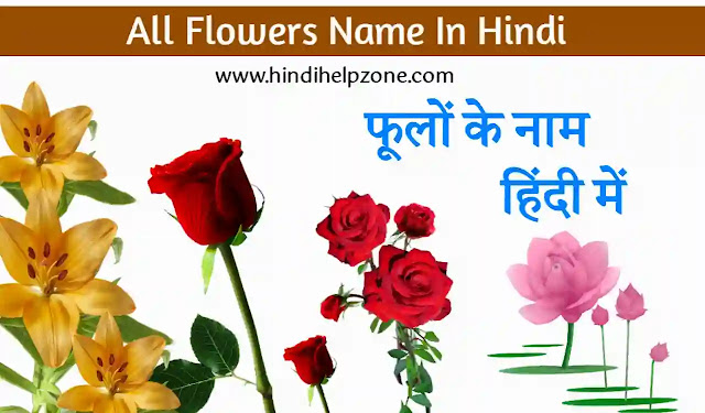 Names of Flowers in Hindi | 100+ फूलों के नाम हिंदी में