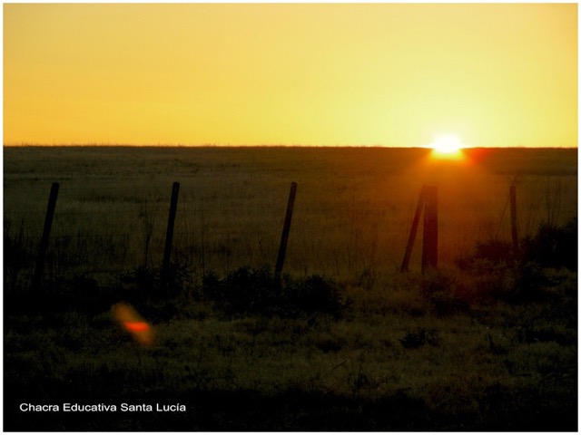 Cielo amarillo durante la puesta de sol - Chacra Educativa Santa Lucía