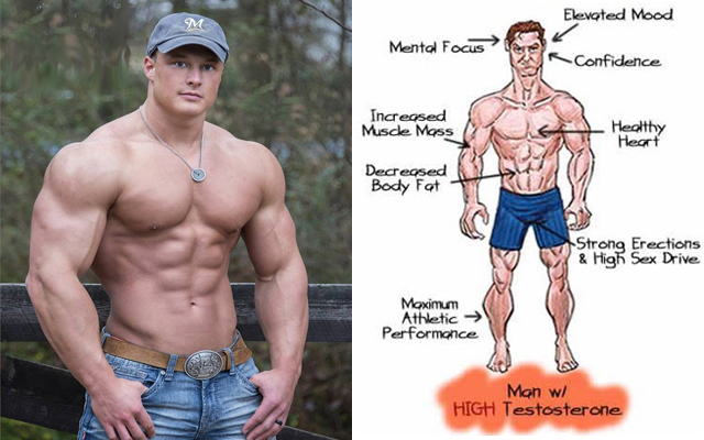 8 Natural Ways to Increase Testosterone Levels