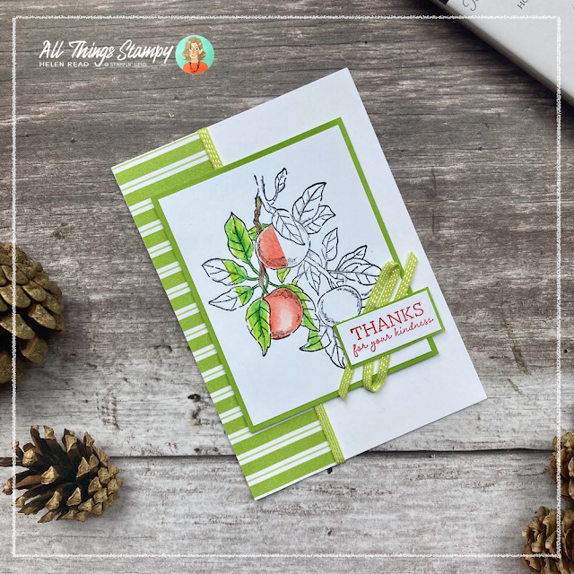 Stampin Up UK Apple Harvest spotlight technique card ideas