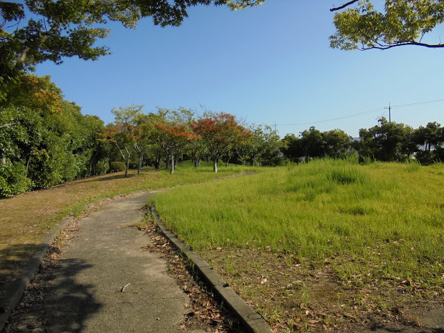 夢みなと公園の小道