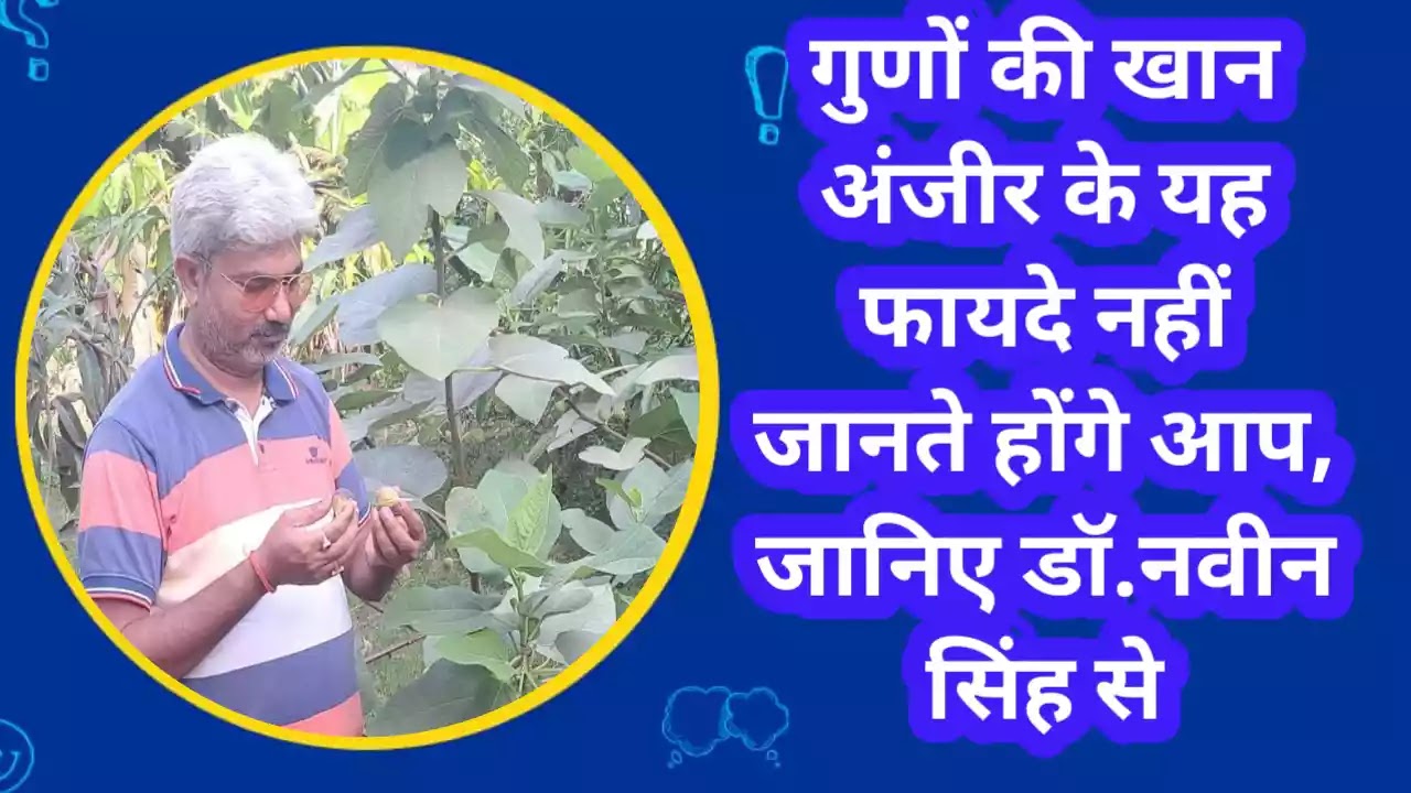 fig-mine-qualities-one-fig-for-healthy-body-protect-from-diseases-also-know-benefits-eating-figs-from-dr-naveen-singh