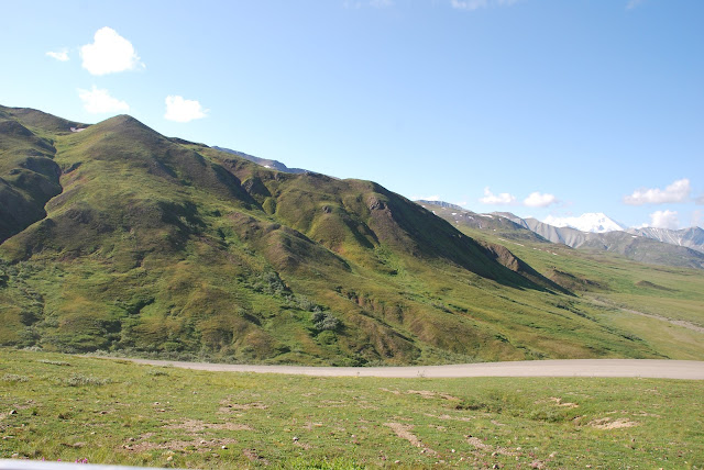 Denali National Park And Preserve