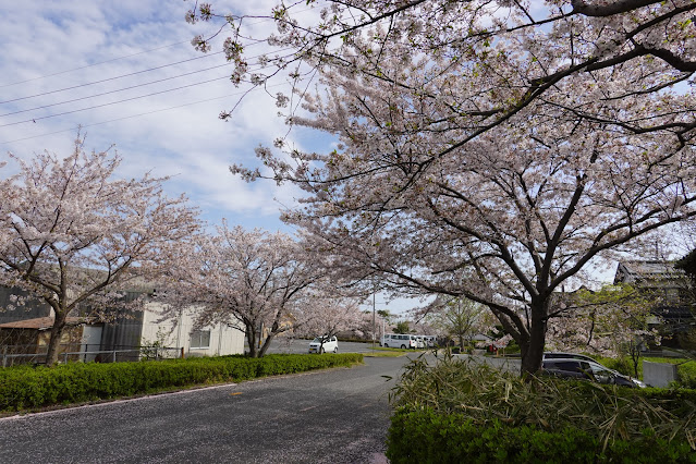 鳥取県西伯郡大山町御来屋 名和公園