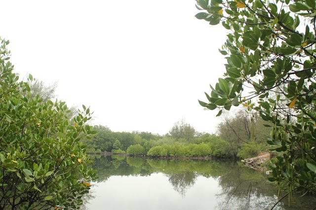 Taman Wisata Alam Dan Laut Pulau Sangiang