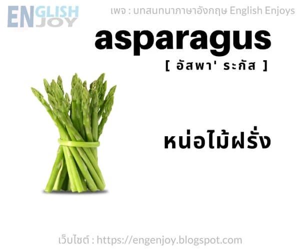 คําศัพท์ภาษาอังกฤษ ผัก - Asparagus (หน่อไม้ฝรั่ง)_Vegetables