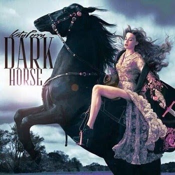 KATY PERRY - DARK HORSE lyrics