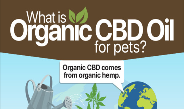 What is Organic CBD Oil for Pets?