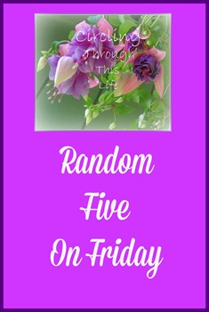 Random Five Circling Button
