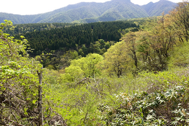 鳥取県西伯郡大山町豊房 香取からの眺望