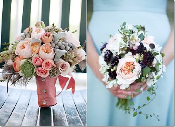 cabbage-rose