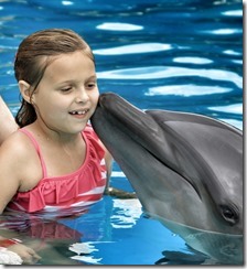 Swiming With The Dolphins Puerto Vallarta Swiming With The Dolphins Puerto Vallarta