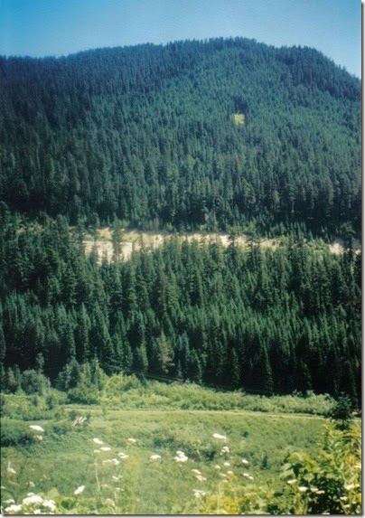 View from near Milepost 1712 on the Iron Goat Trail in 2000