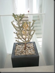 2012-08-01 11.39.39