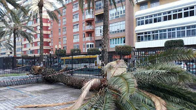 Quitan la alerta por viento en Canarias