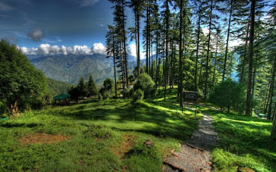 Dhanaulti in Garhwal region of Uttarakhand