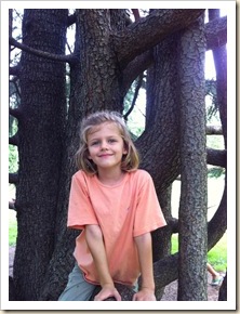 sweet girl in a cool tree