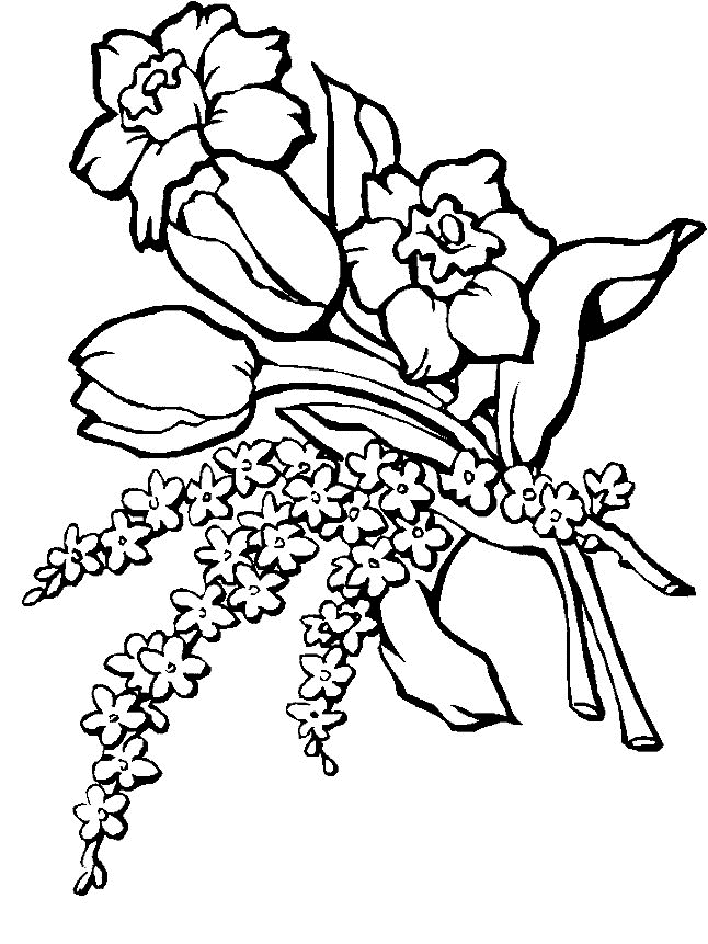 flower coloring pages