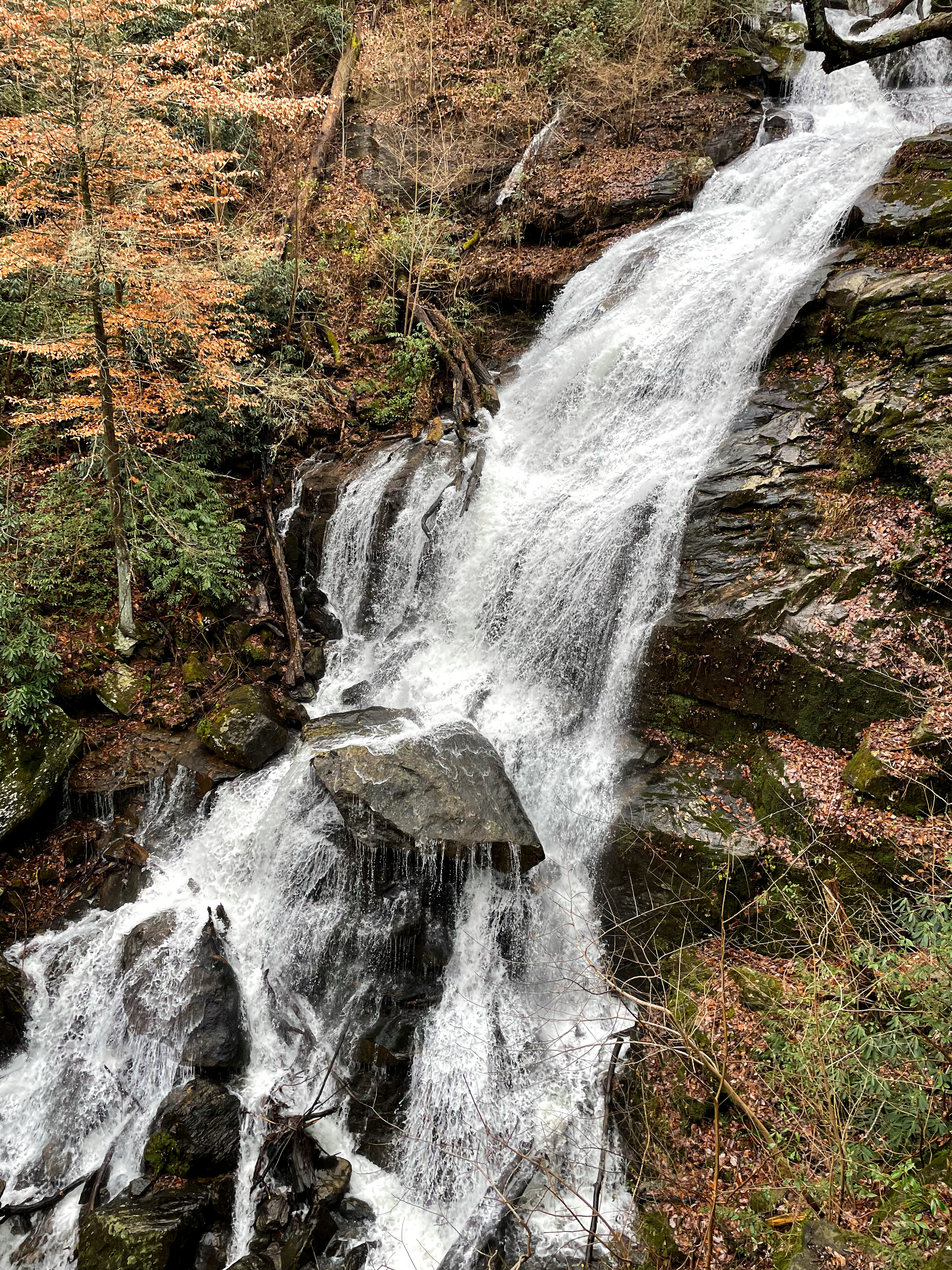 Melrose Falls