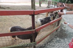 DSCN2661
