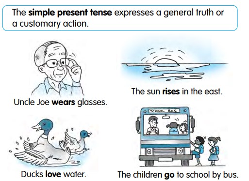 English Activities The Simple Present Tense Rules And Exercises Basic Grammar