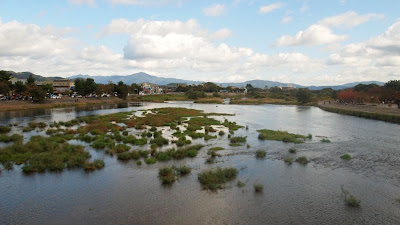 arashiyama