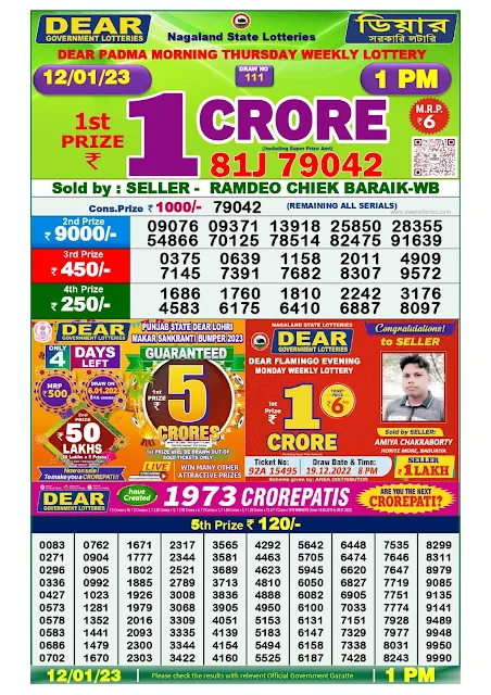 nagaland-lottery-result-12-01-2023-dear-padma-morning-thursday-today-1-pm