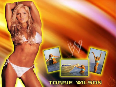 wwe divas wallpapers. candice - WWE Divas Wallpaper