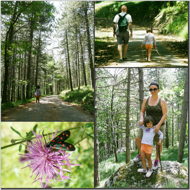 PicMonkey Collage1