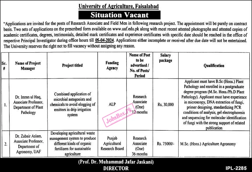University of Agriculture Faisalabad Jobs Advertisement 2024