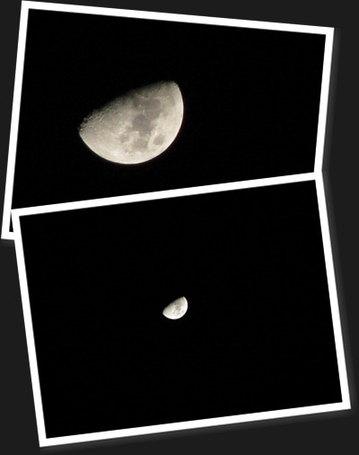 View White Moon