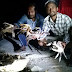 Crab Hunting. in N. Eddhuffaru. Maldives