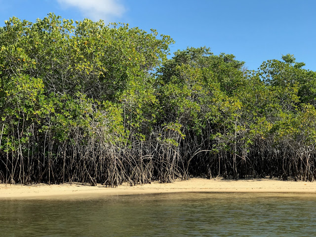 Caleta Tortuga Negra, Isla Santa Cruz (Islas Galápagos)