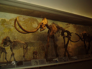 Woolly Mammoth Wallpaper