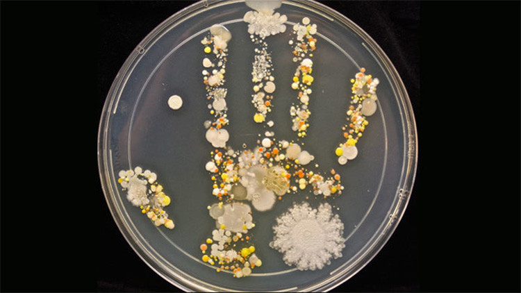 Así son realmente las Bacterias de una mano sin lavar  
