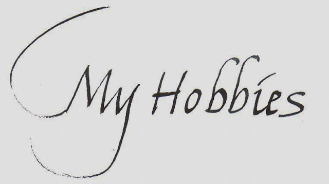 10 Lines on My Hobby in English | Few Important Lines on My Hobby in English