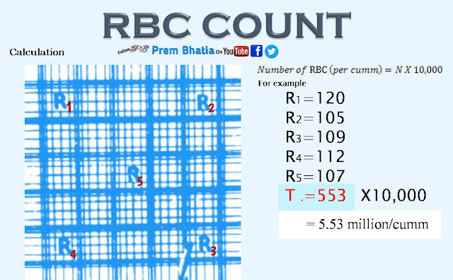 rbc count