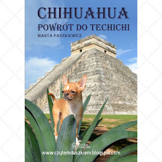 chihuahua powrót do techichi, marta paszkiewicz, poradnik, psychoskok