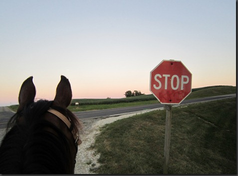 Riding Larry 170