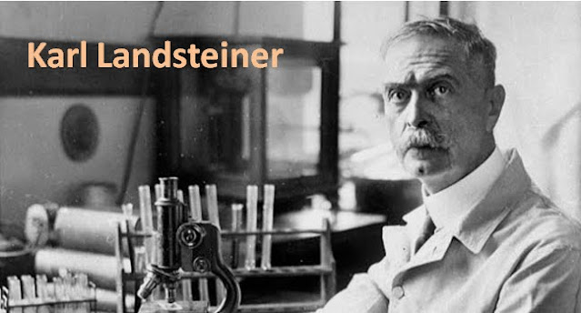 Karl Landsteiner