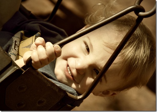 Beau picnik swing