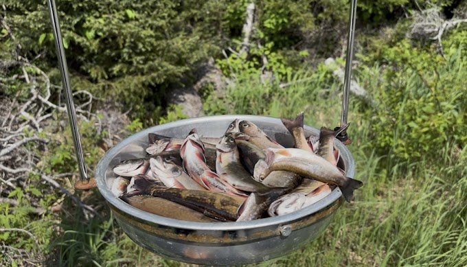 Why Saguenay–Lac-Saint-Jean Is a Must-Fish Destination