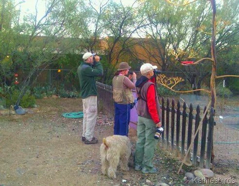 3. 2013 Tucson Valey CBC